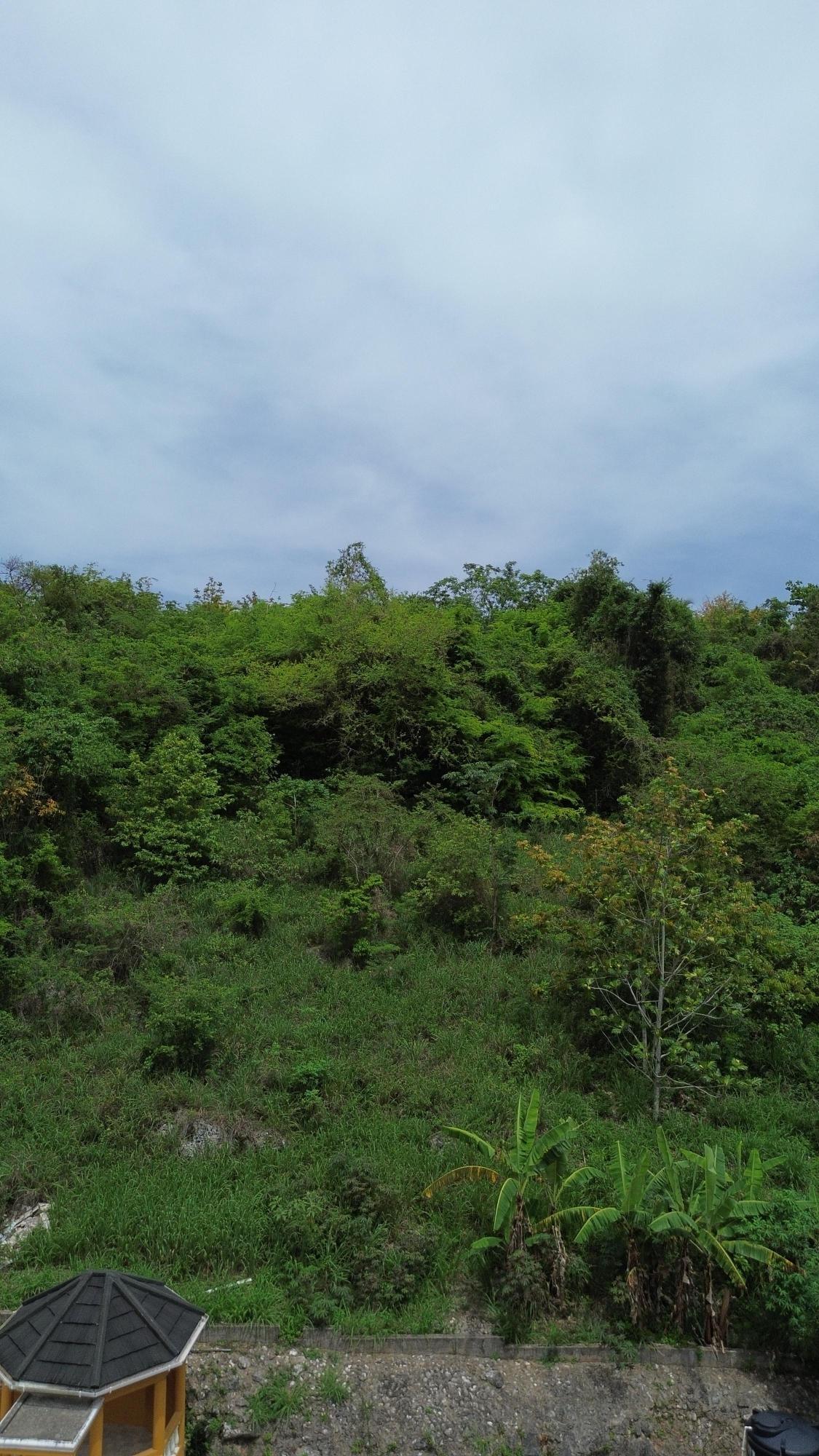 Third image of 90 Kimberly Avenue, Golden a in Kingston 19, St. Andrew, Jamaica - property is For Sale
