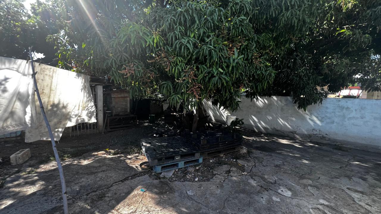 Thirteenth image of 19 Tuna Avenue in Kingston 17, St. Andrew, Jamaica - property is For Sale
