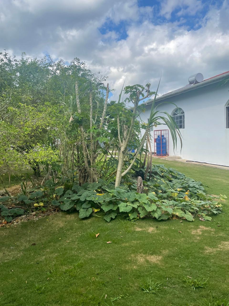 Fourth image of Longwood, Santa Cruz in Santa Cruz, St. Elizabeth, Jamaica - property is For Sale