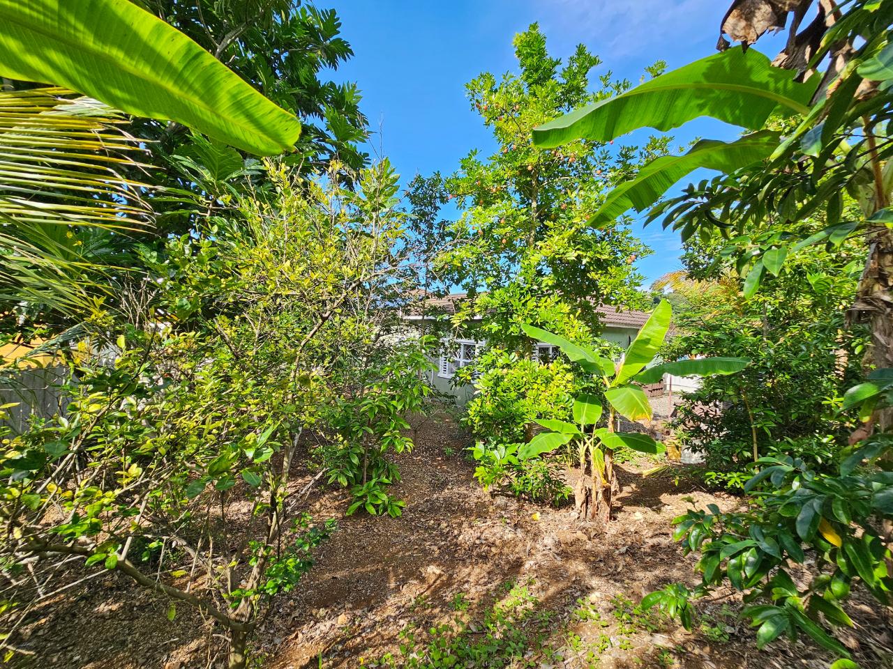 Twenty-Fifth image of 519 Canoe Drive, Savannah at in Runaway Bay, St. Ann, Jamaica - property is For Sale