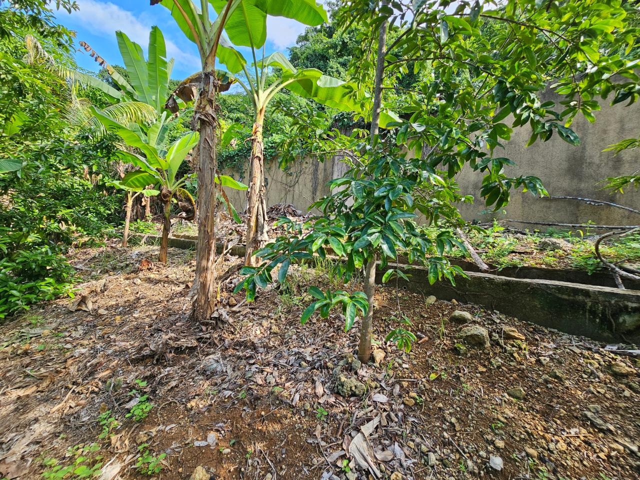Twenty-Sixth image of 519 Canoe Drive, Savannah at in Runaway Bay, St. Ann, Jamaica - property is For Sale