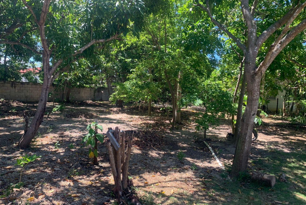 Twelfth image of Lot 7 & 9 Hodges in Black River, St. Elizabeth, Jamaica - property is For Sale