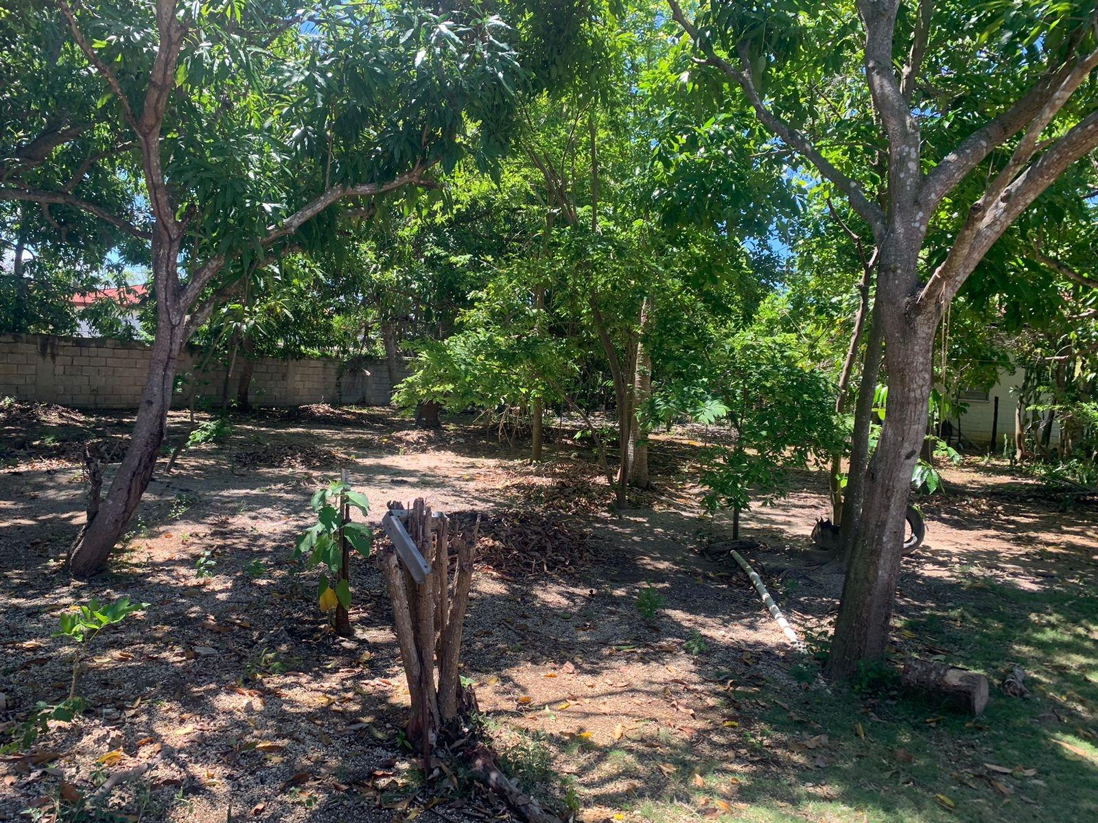 Stunning-3-Bedroom-Home-for-Sale-in-St.-Elizabeth-Jamaica Twelfth image of Lot 7 & 9 Hodges in Black River, St. Elizabeth, Jamaica - property is For Sale