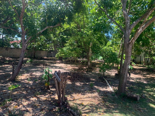 Twelfth image of Lot 7 & 9 Hodges in Black River, St. Elizabeth, Jamaica - property is For Sale