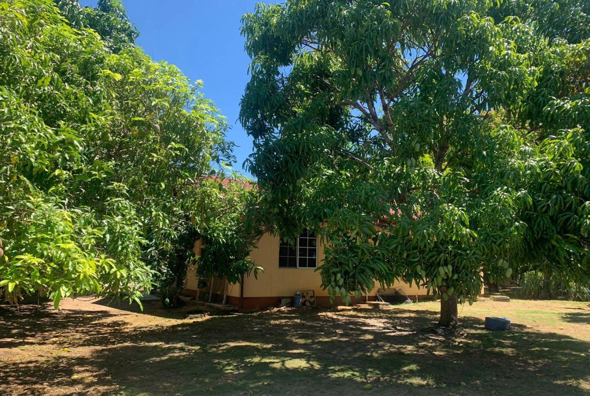 Fifth image of Lot 7 & 9 Hodges in Black River, St. Elizabeth, Jamaica - property is For Sale