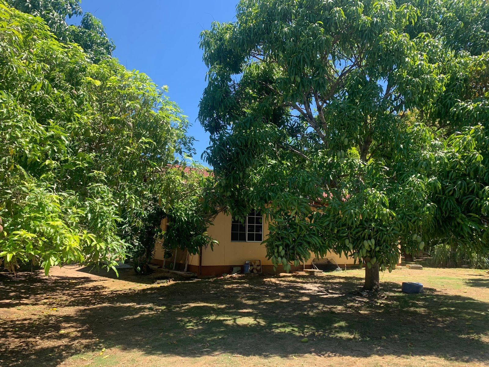 Stunning-3-Bedroom-Home-for-Sale-in-St.-Elizabeth-Jamaica Fifth image of Lot 7 & 9 Hodges in Black River, St. Elizabeth, Jamaica - property is For Sale