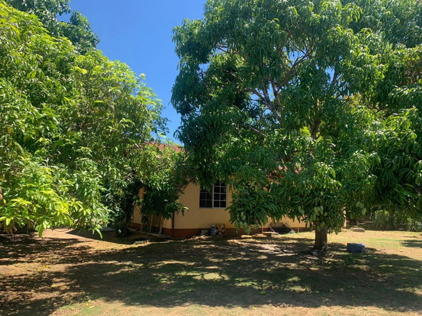 Fifth image of Lot 7 & 9 Hodges in Black River, St. Elizabeth, Jamaica - property is For Sale