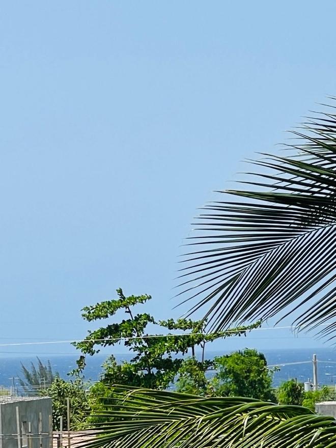 Twentieth image of 61 Guava Street in Plantation Village, St. Ann, Jamaica - property is For Sale