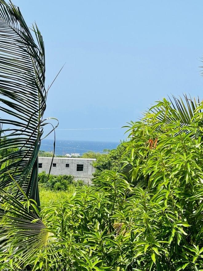 Twenty-First image of 61 Guava Street in Plantation Village, St. Ann, Jamaica - property is For Sale