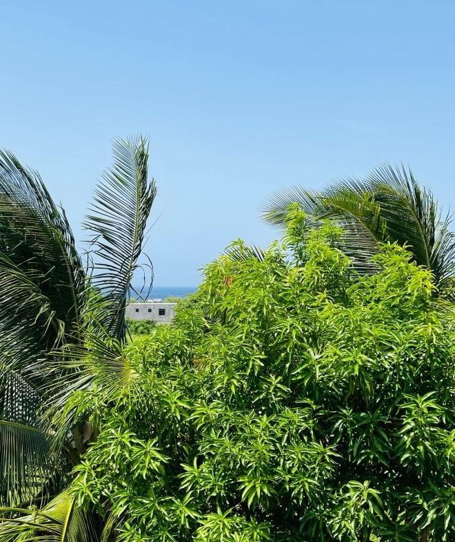 Twenty-Second image of 61 Guava Street in Plantation Village, St. Ann, Jamaica - property is For Sale