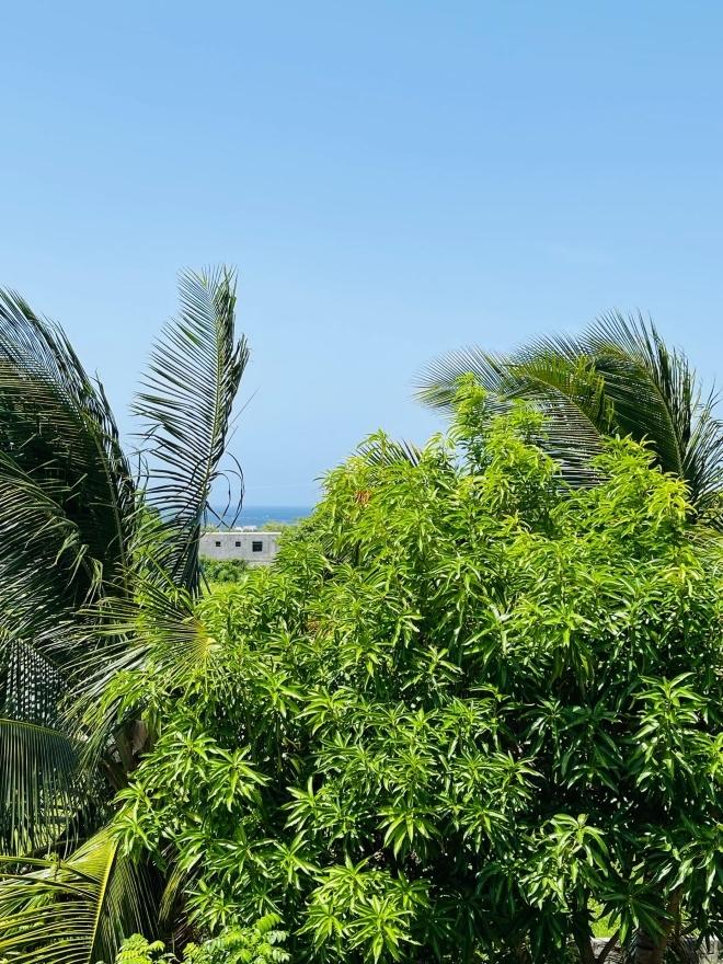 Twenty-Second image of 61 Guava Street in Plantation Village, St. Ann, Jamaica - property is For Sale