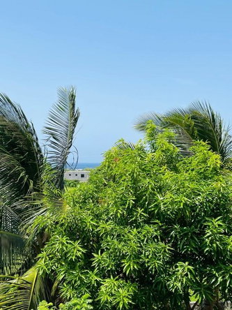 Twenty-Second image of 61 Guava Street in Plantation Village, St. Ann, Jamaica - property is For Sale