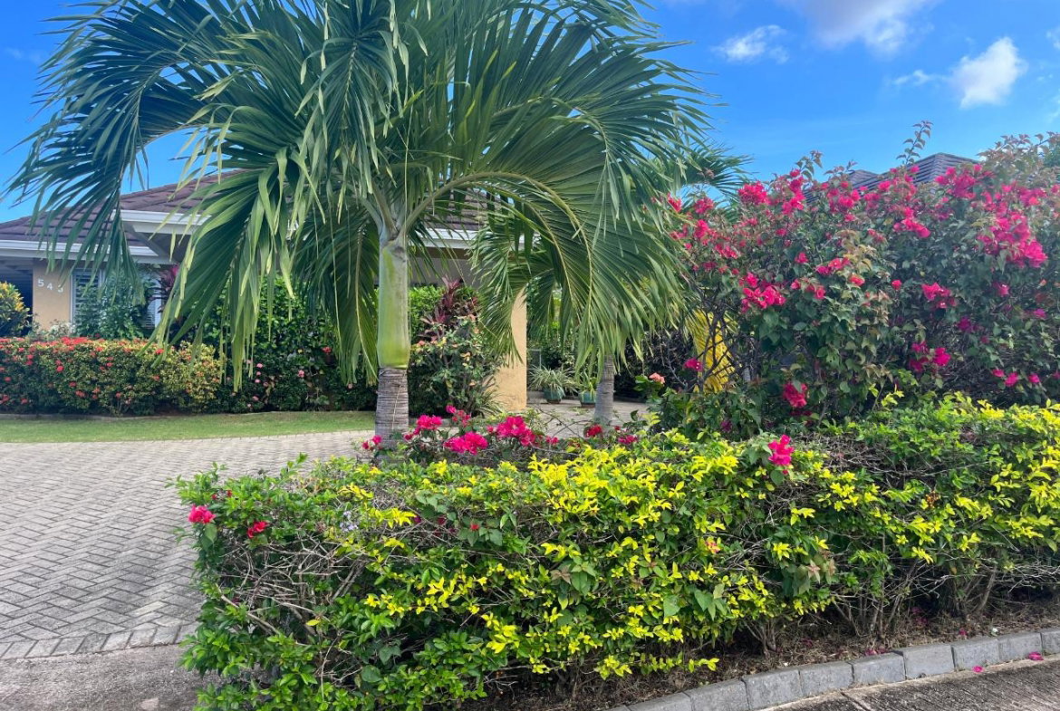 Third image of Coolshade-lot 543 Mahoe Ave, Richmond in Richmond, St. Ann, Jamaica - property is For Sale