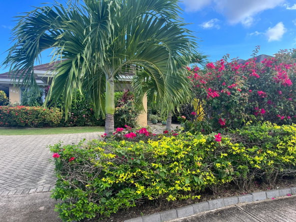 Third image of Coolshade-lot 543 Mahoe Ave, Richmond in Richmond, St. Ann, Jamaica - property is For Sale