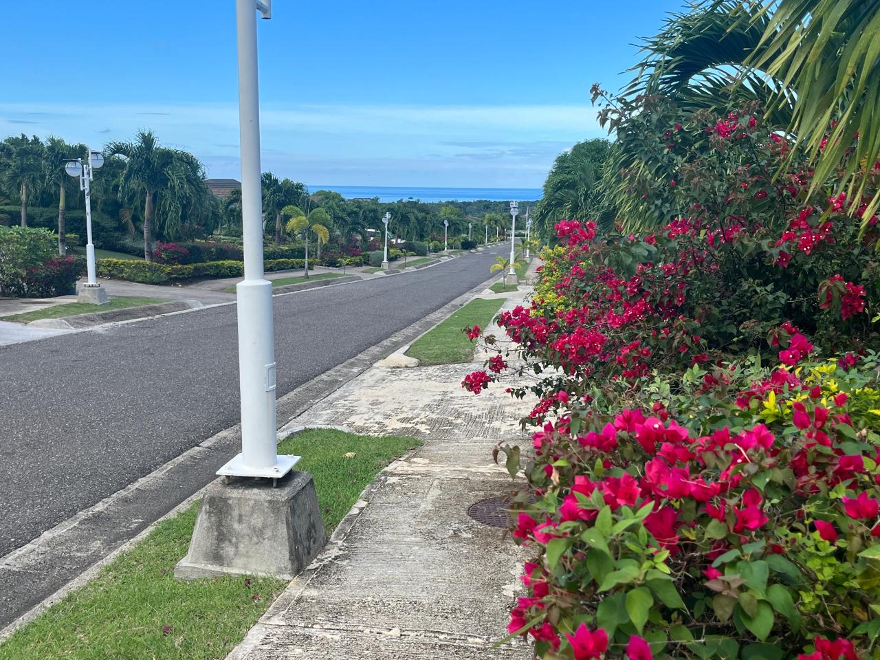 Fourth image of Coolshade-lot 543 Mahoe Ave, Richmond in Richmond, St. Ann, Jamaica - property is For Sale