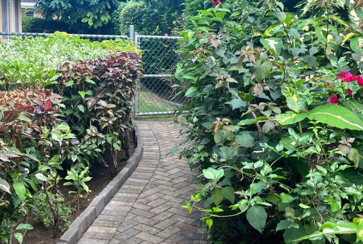 Sixth image of Coolshade-lot 543 Mahoe Ave, Richmond in Richmond, St. Ann, Jamaica - property is For Sale