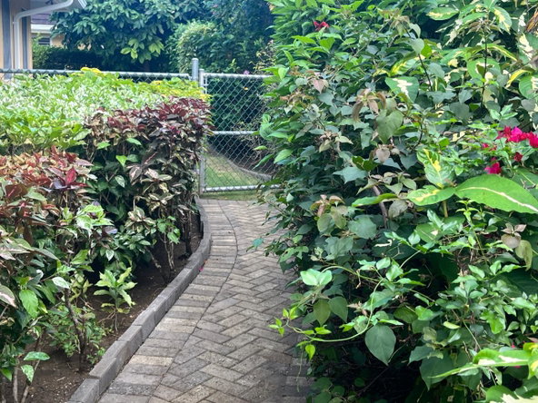 Sixth image of Coolshade-lot 543 Mahoe Ave, Richmond in Richmond, St. Ann, Jamaica - property is For Sale
