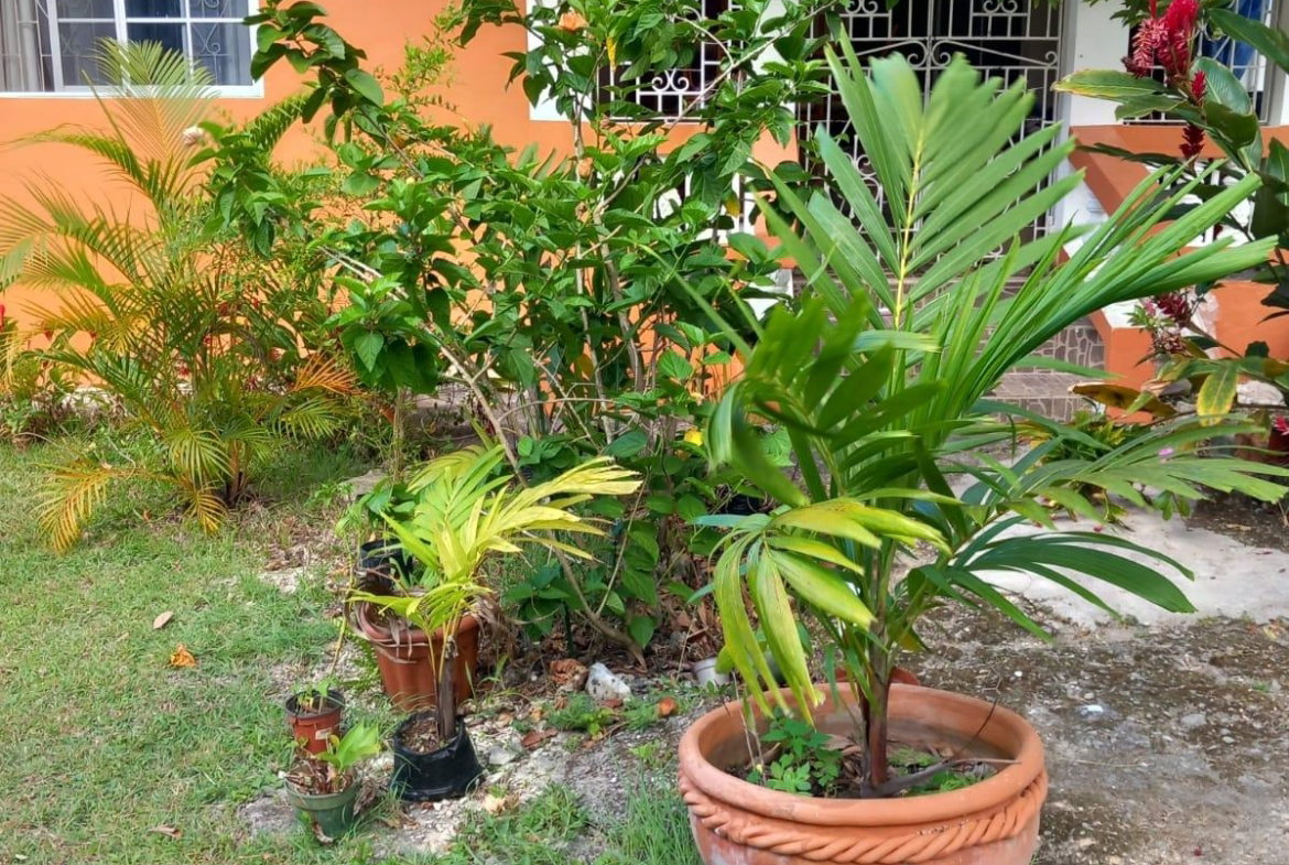 Second image of Beverley, St. Ann in Beverley, St. Ann, Jamaica - property is For Sale