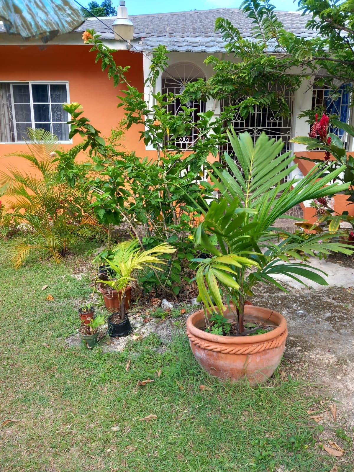 Stunning-3-Bedroom-House-for-Sale-in-Beverley-St.-Ann-Jamaica Second image of Beverley, St. Ann in Beverley, St. Ann, Jamaica - property is For Sale