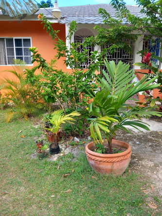 Second image of Beverley, St. Ann in Beverley, St. Ann, Jamaica - property is For Sale