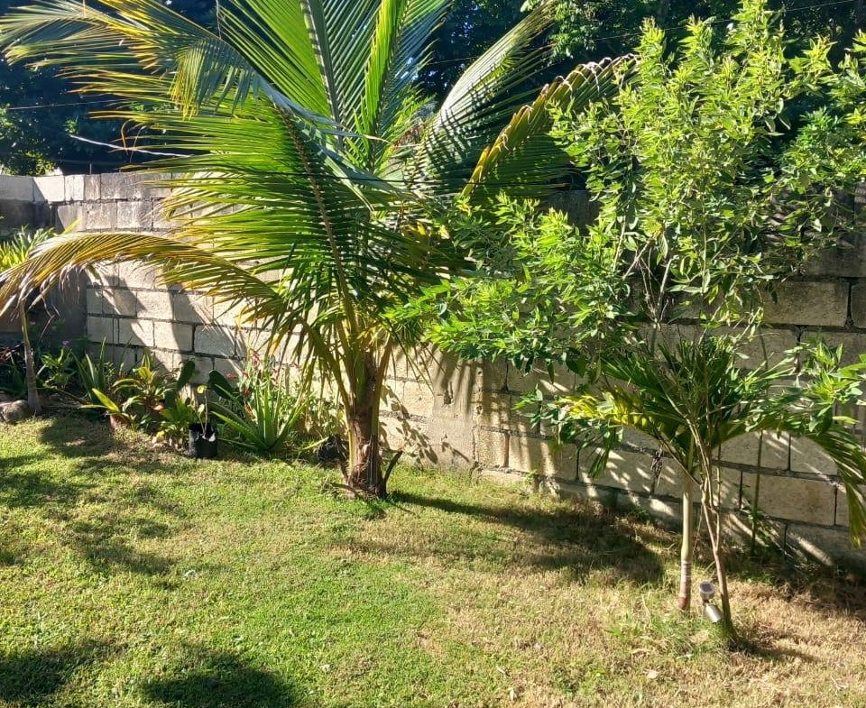 Eleventh image of Beverley, St. Ann in Beverley, St. Ann, Jamaica - property is For Sale