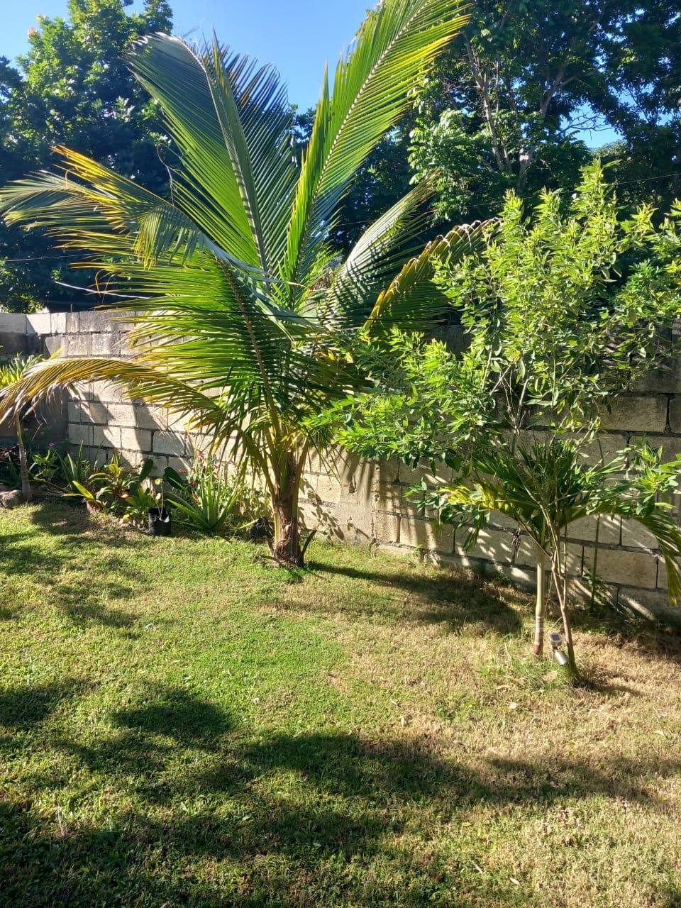 Stunning-3-Bedroom-House-for-Sale-in-Beverley-St.-Ann-Jamaica Eleventh image of Beverley, St. Ann in Beverley, St. Ann, Jamaica - property is For Sale