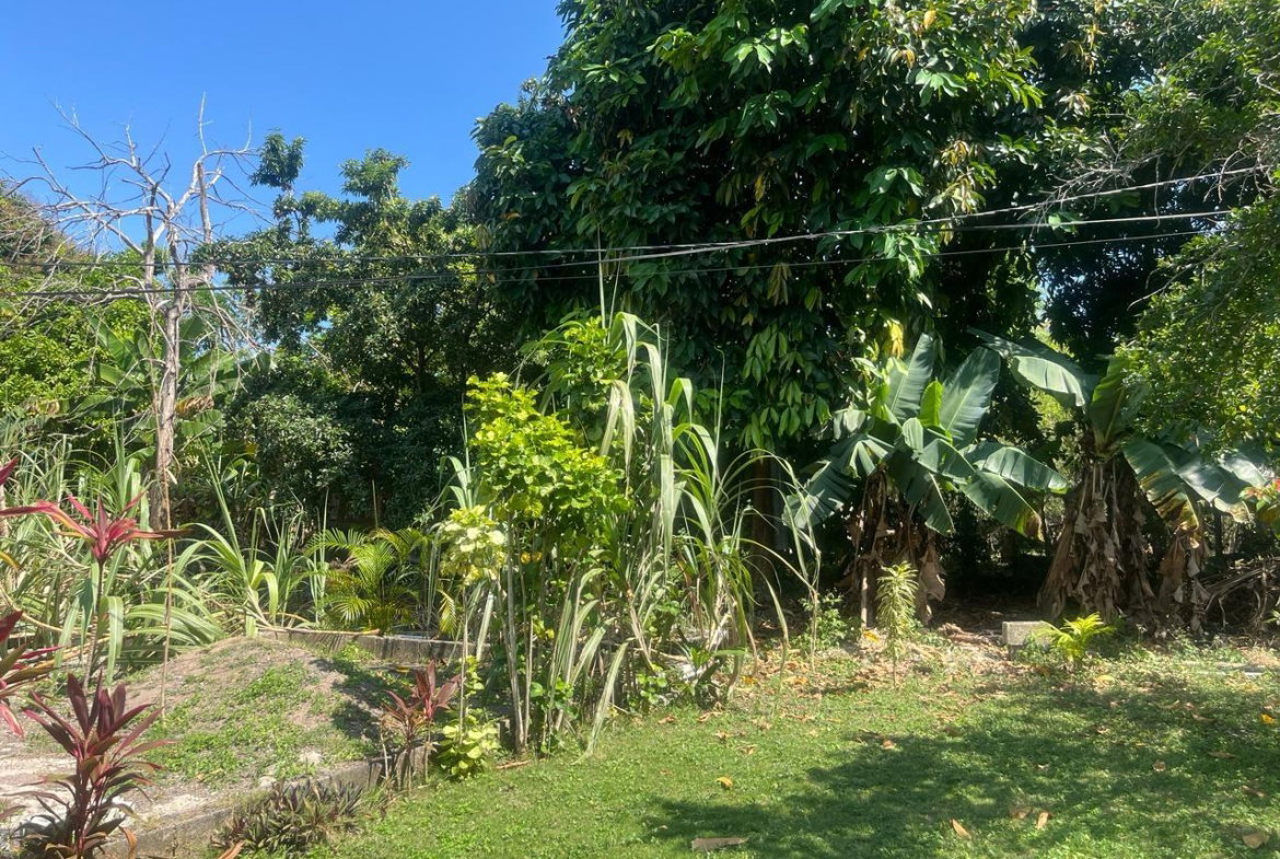 Twelfth image of Beverley, St. Ann in Beverley, St. Ann, Jamaica - property is For Sale