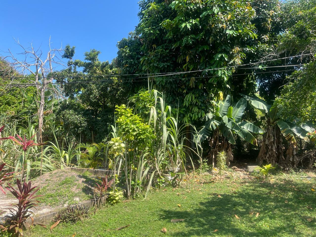 Stunning-3-Bedroom-House-for-Sale-in-Beverley-St.-Ann-Jamaica Twelfth image of Beverley, St. Ann in Beverley, St. Ann, Jamaica - property is For Sale