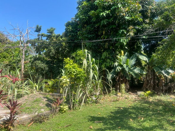 Twelfth image of Beverley, St. Ann in Beverley, St. Ann, Jamaica - property is For Sale