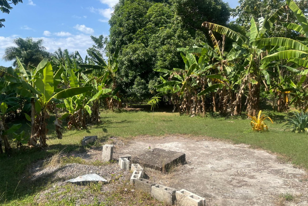 Thirteenth image of Beverley, St. Ann in Beverley, St. Ann, Jamaica - property is For Sale