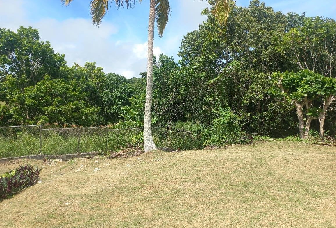 Twenty-Third image of 47 Lilyfield & Elgin Hall, b in Bamboo, St. Ann, Jamaica - property is For Sale