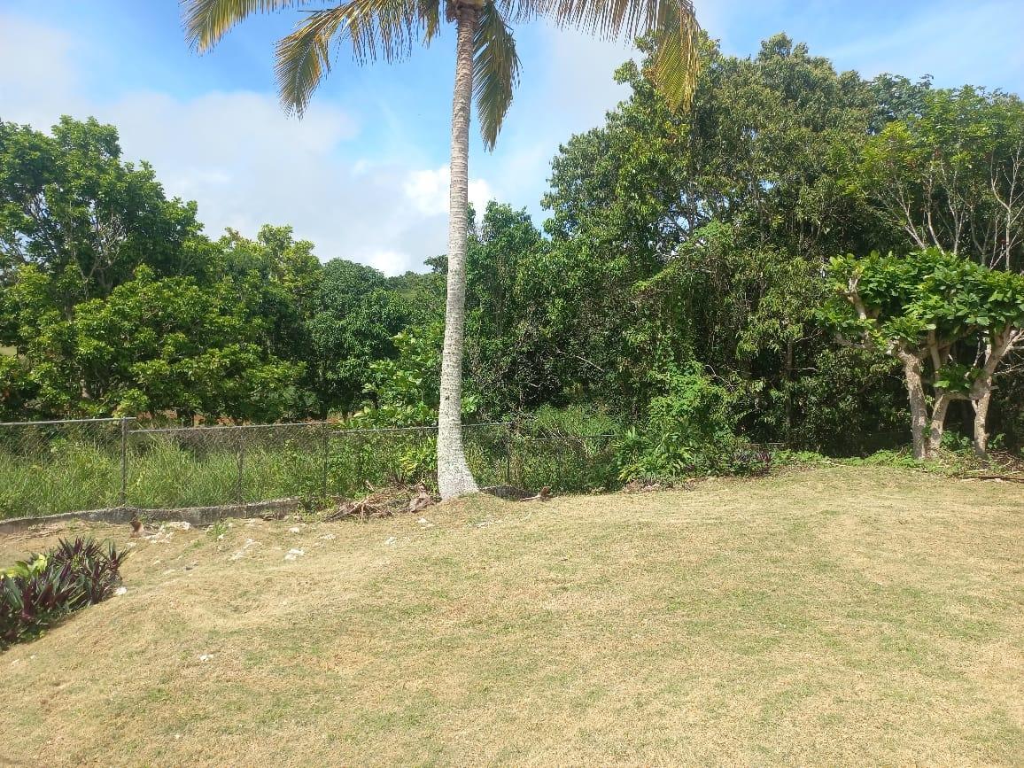 Stunning-3-Bedroom-House-for-Sale-in-Lilyfield-St.-Ann Twenty-Third image of 47 Lilyfield & Elgin Hall, b in Bamboo, St. Ann, Jamaica - property is For Sale