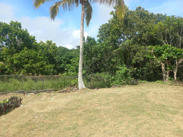 Twenty-Third image of 47 Lilyfield & Elgin Hall, b in Bamboo, St. Ann, Jamaica - property is For Sale