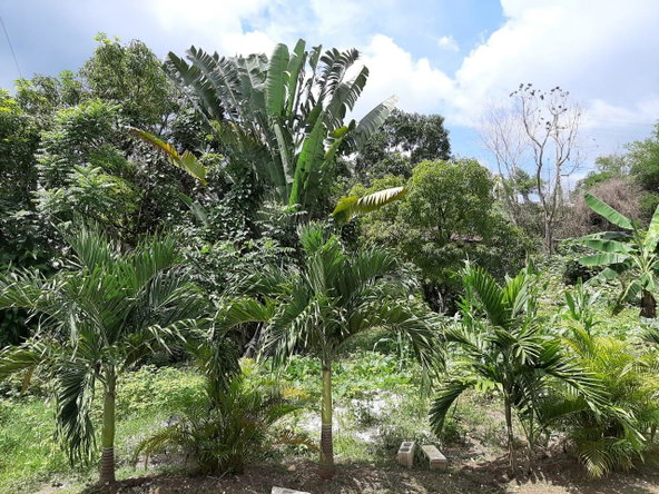 Fifteenth image of Orange Bay Country Club in Negril, Westmoreland, Jamaica - property is For Sale