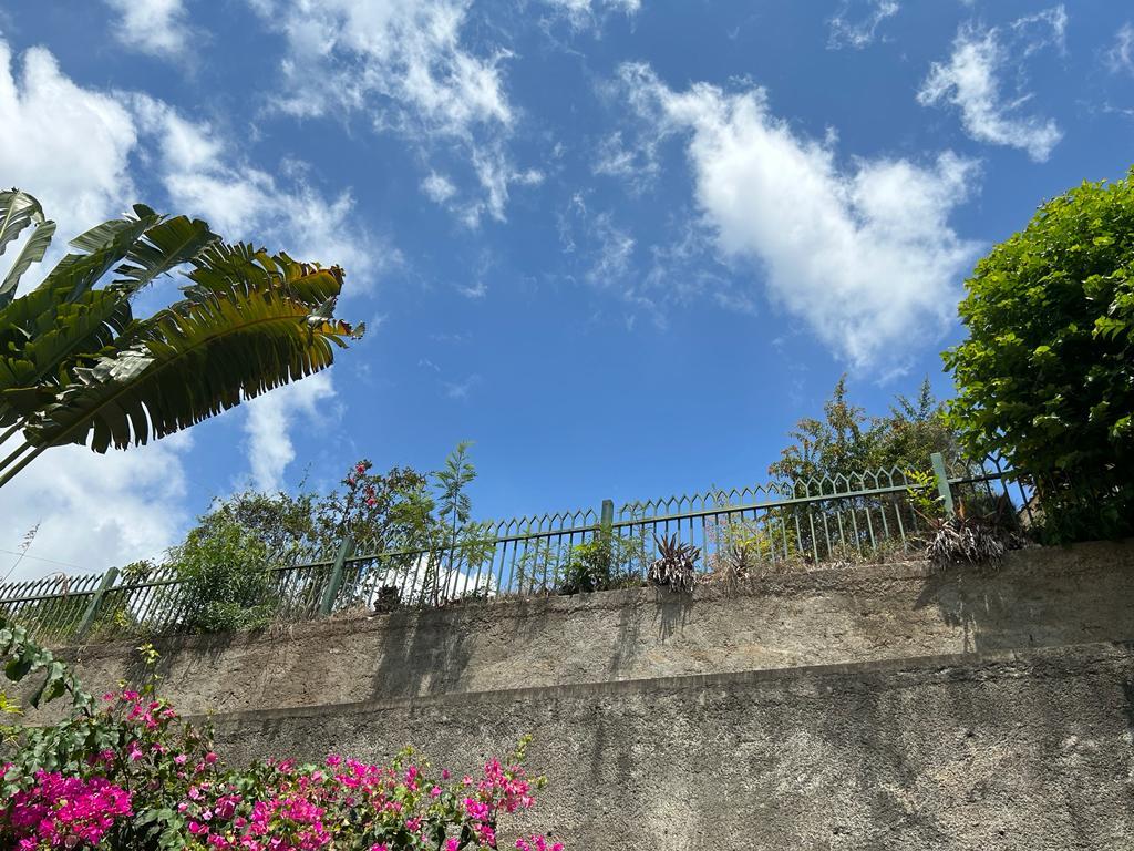 Twentieth image of 52 Birch Way in Kingston 6, St. Andrew, Jamaica - property is For Sale