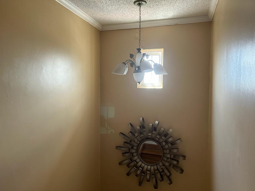 Twenty-Third image of 52 Birch Way in Kingston 6, St. Andrew, Jamaica - property is For Sale