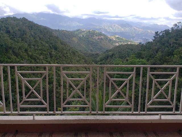 Sixth image of Lot 13 Maverly Mountain, Swan s in Kingston 19, St. Andrew, Jamaica - property is For Sale
