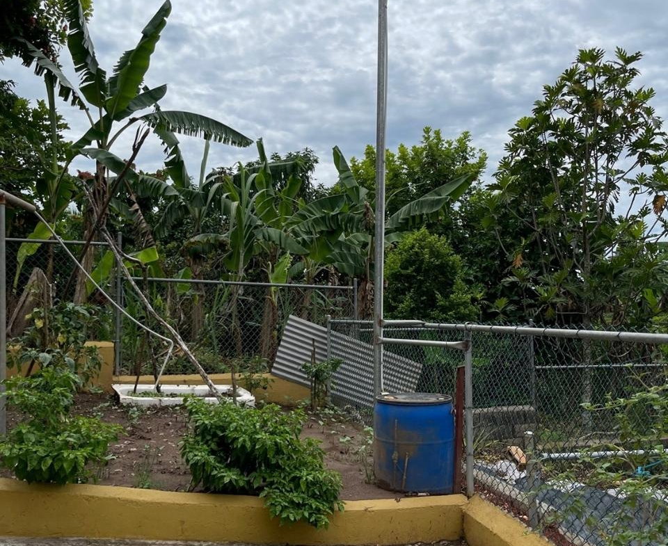 Twenty-Fifth image of Lot 81- Violet Close, Hope Villag in Williamsfield, Manchester, Jamaica - property is For Sale