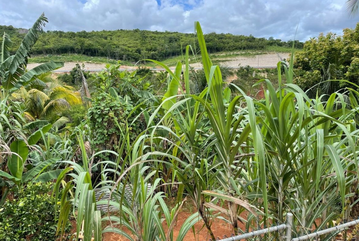 Twenty-Sixth image of Lot 81- Violet Close, Hope Villag in Williamsfield, Manchester, Jamaica - property is For Sale