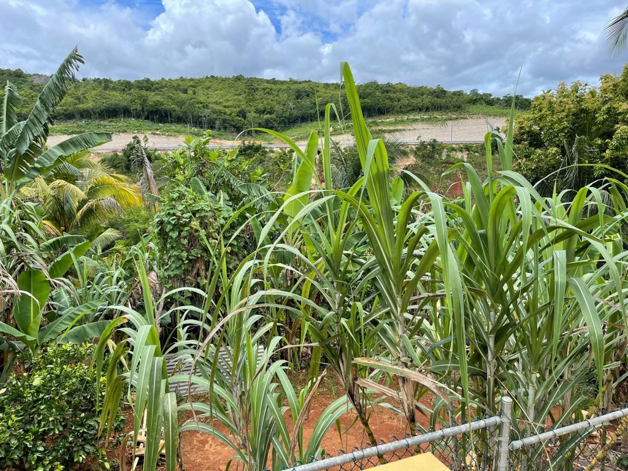 Stunning-3-Level-Home-for-Sale-in-Williamsfield-Manchester Twenty-Sixth image of Lot 81- Violet Close, Hope Villag in Williamsfield, Manchester, Jamaica - property is For Sale