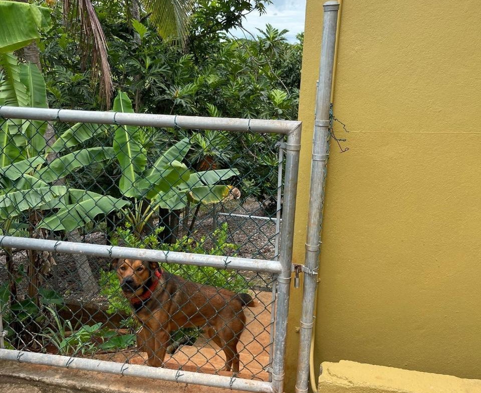 Twenty-Eighth image of Lot 81- Violet Close, Hope Villag in Williamsfield, Manchester, Jamaica - property is For Sale