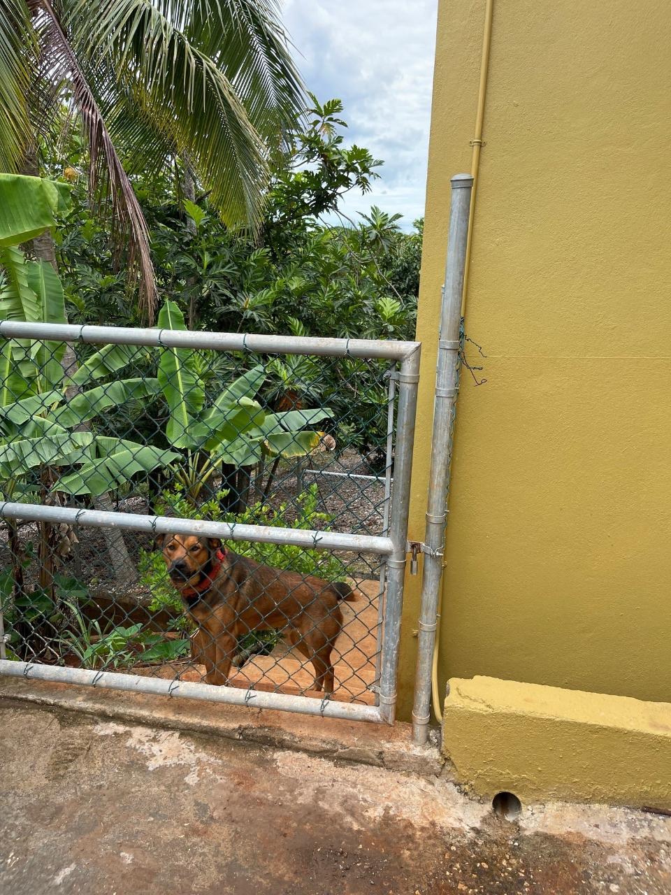 Stunning-3-Level-Home-for-Sale-in-Williamsfield-Manchester Twenty-Eighth image of Lot 81- Violet Close, Hope Villag in Williamsfield, Manchester, Jamaica - property is For Sale