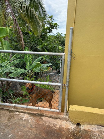 Twenty-Eighth image of Lot 81- Violet Close, Hope Villag in Williamsfield, Manchester, Jamaica - property is For Sale