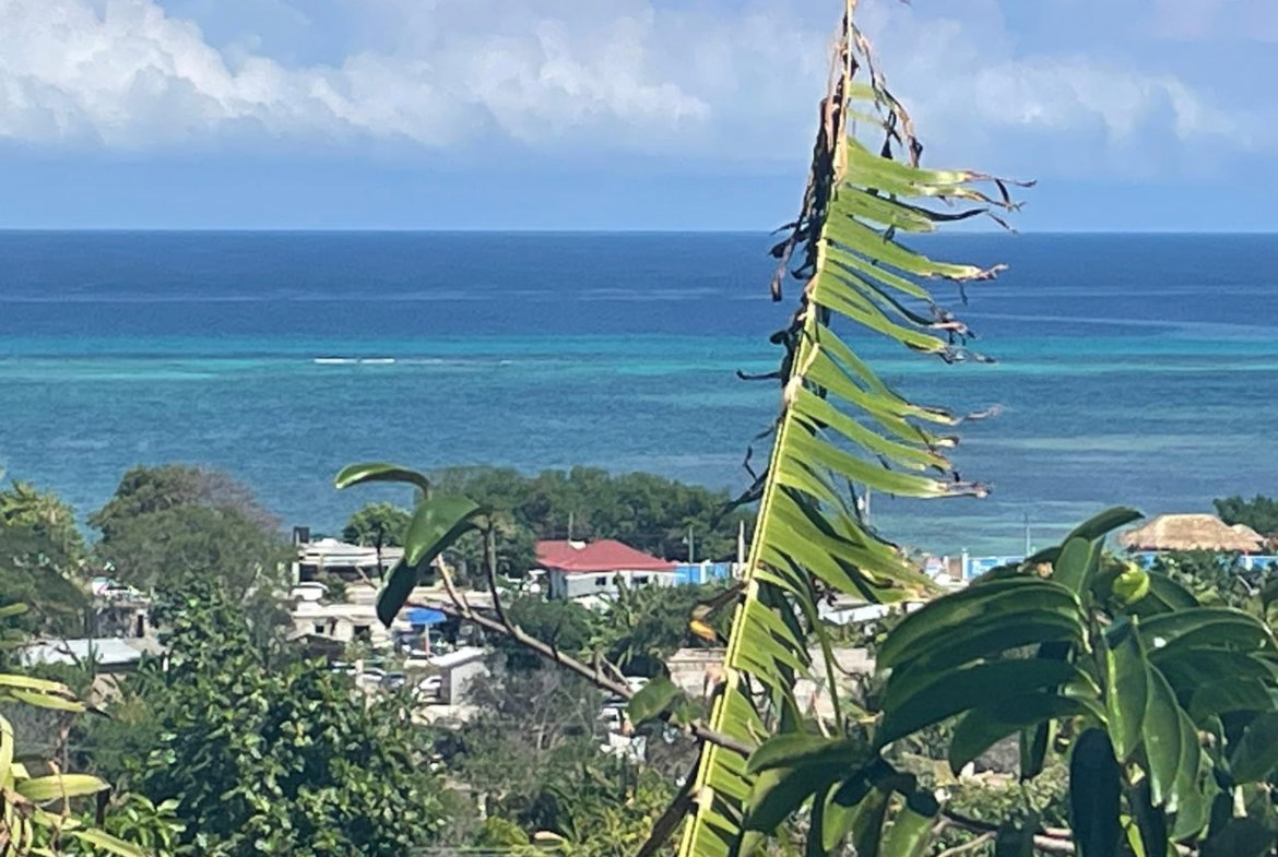 Twelfth image of 1484 Barrett Hall in Montego Bay, St. James, Jamaica - property is For Sale