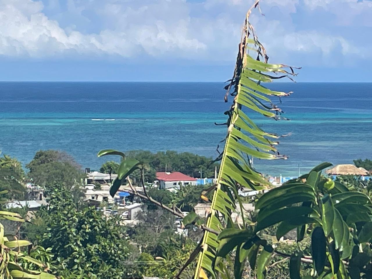 Twelfth image of 1484 Barrett Hall in Montego Bay, St. James, Jamaica - property is For Sale