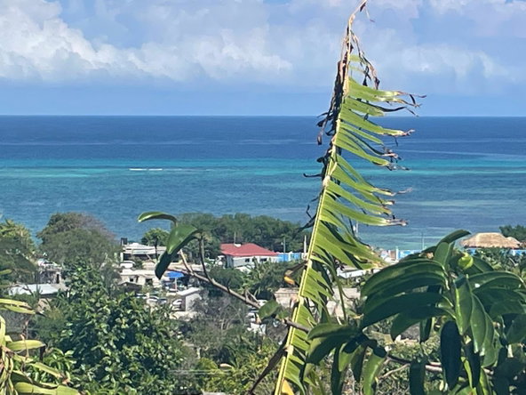 Twelfth image of 1484 Barrett Hall in Montego Bay, St. James, Jamaica - property is For Sale