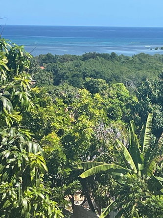 Thirteenth image of 1484 Barrett Hall in Montego Bay, St. James, Jamaica - property is For Sale
