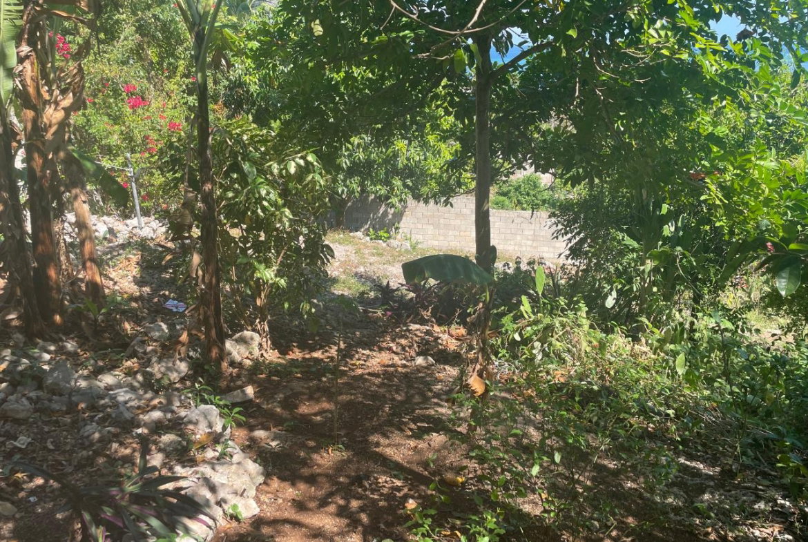 Fifteenth image of 1484 Barrett Hall in Montego Bay, St. James, Jamaica - property is For Sale
