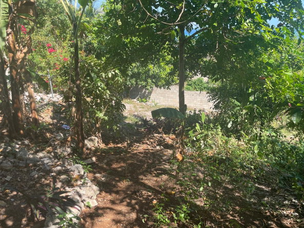 Fifteenth image of 1484 Barrett Hall in Montego Bay, St. James, Jamaica - property is For Sale