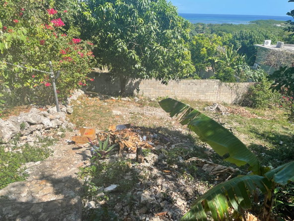 Sixteenth image of 1484 Barrett Hall in Montego Bay, St. James, Jamaica - property is For Sale